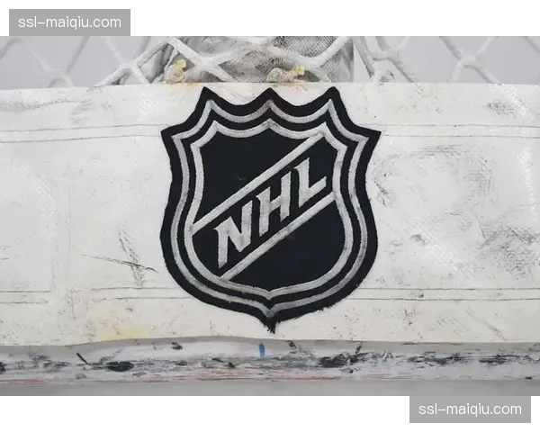 针对NHL球员的虚拟货币投资欺诈案开庭，多名球员涉案金额超百万美元